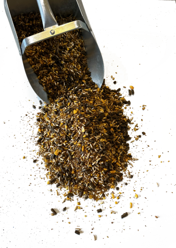 Pro Horse 12 - Scoop no bg web optimized