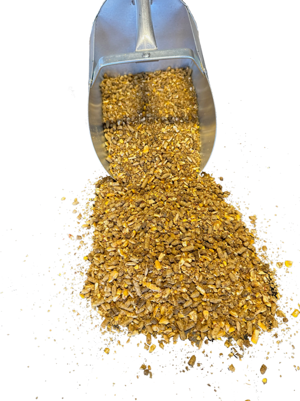 Sweet 12 - no bg Sweet 12 - no bg