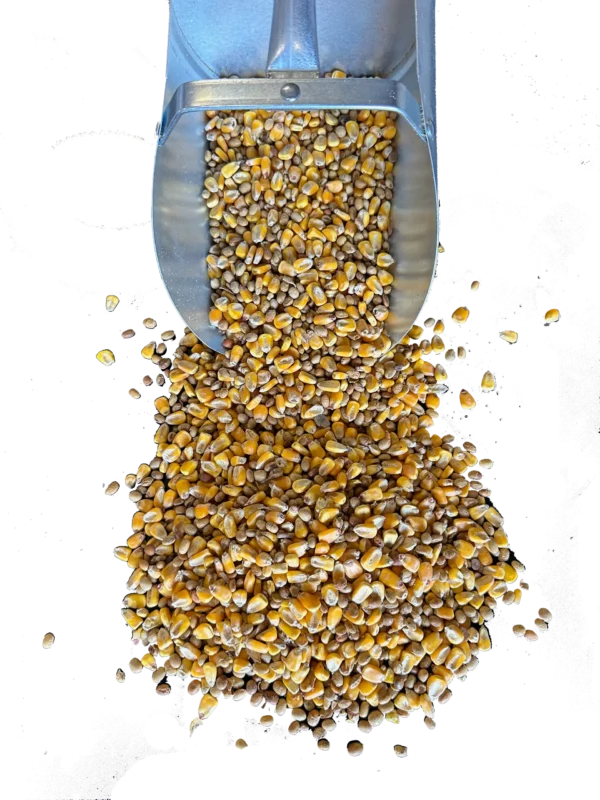 CRS Wildlife Feed - 3 CRS Wildlife Feed - 3