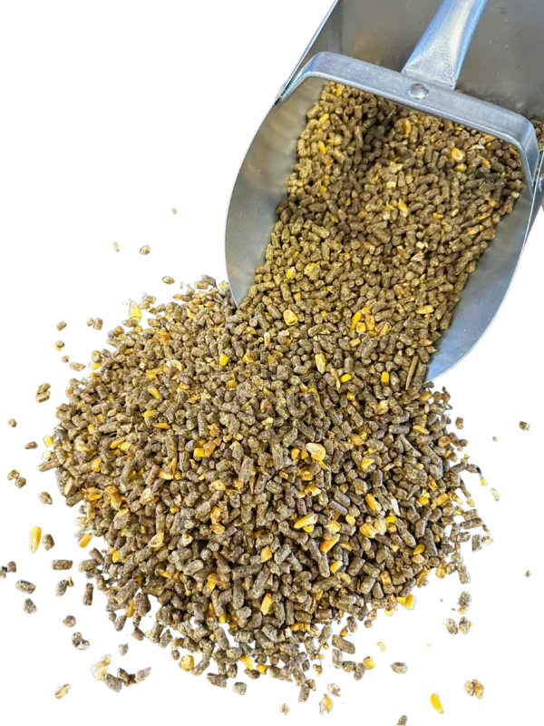 Pro Bull Z-16 Scoop No BG Pro Bull Z-16 Scoop No BG